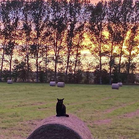 Ferienwohnung Kompass Nahe Der Ostsee Im Gruenen Bad Doberan Kültér fotó