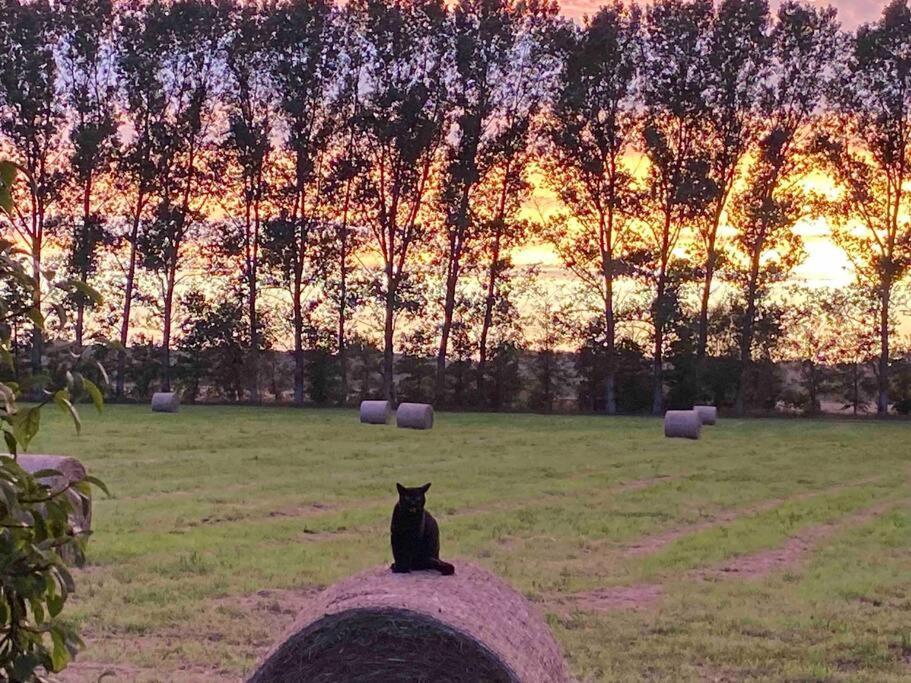 Ferienwohnung Kompass Nahe Der Ostsee Im Gruenen Bad Doberan Kültér fotó