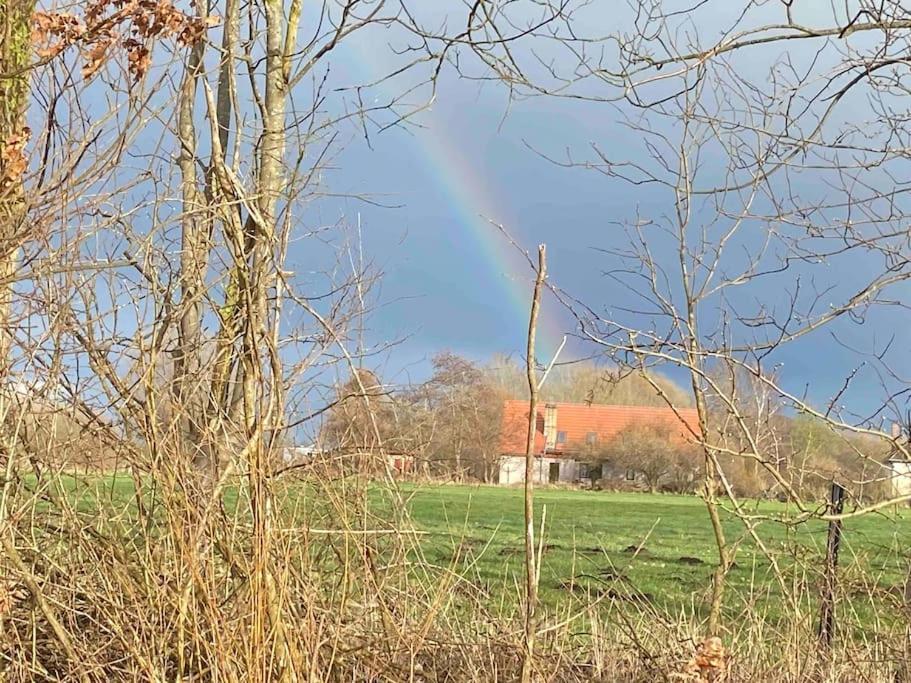 Ferienwohnung Kompass Nahe Der Ostsee Im Gruenen Bad Doberan Kültér fotó